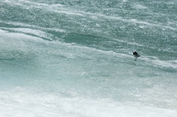 Річка Останнього Льодовикового Останній Крижини Остання Голчатий Лід Річці Ілі — стокове фото