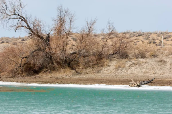 nehir son buz. Son buz parçası. son buz Ili Nehri üzerinde iğne. Orta Asya, Kazakistan bozkırlarında