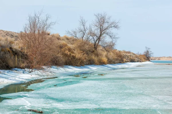 nehir son buz. Son buz parçası. son buz Ili Nehri üzerinde iğne. Orta Asya, Kazakistan bozkırlarında