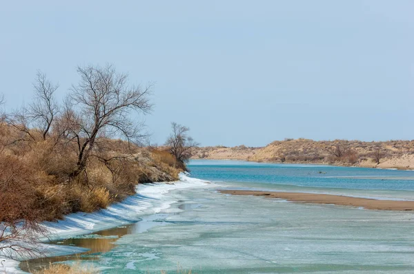 最後の氷が川 最後の流氷 イリ川の氷は最後に針します 中央アジア カザフスタンの草原 — ストック写真