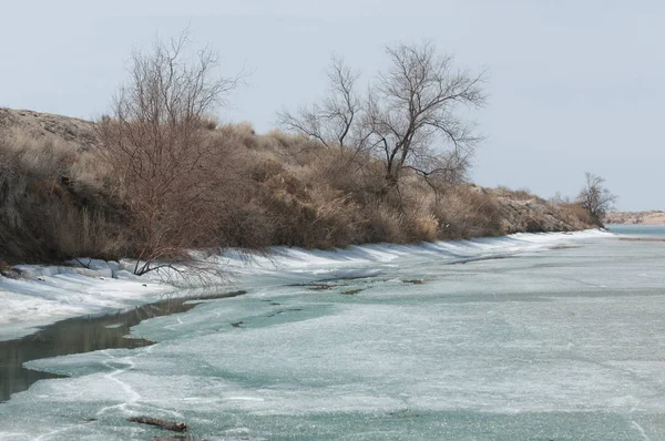 nehir son buz. Son buz parçası. son buz Ili Nehri üzerinde iğne. Orta Asya, Kazakistan bozkırlarında