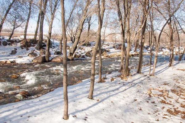 Streaming Water Small River Early Springtime Spring Scene Mountain Landscape — Stock Photo, Image