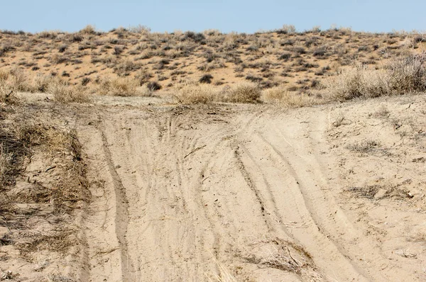 kum bahar bozkır. ağaçlar ve kum mavi gökyüzü arka plan üzerinde. Kazakistan bozkırlarında