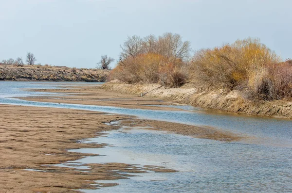 kum bahar bozkır. ağaçlar ve kum mavi gökyüzü arka plan üzerinde. Kazakistan bozkırlarında