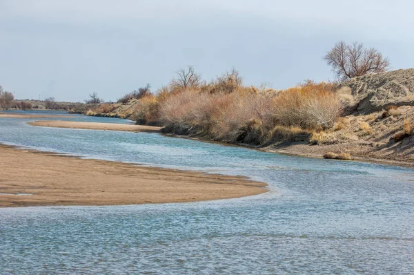 kum bahar bozkır. ağaçlar ve kum mavi gökyüzü arka plan üzerinde. Kazakistan bozkırlarında
