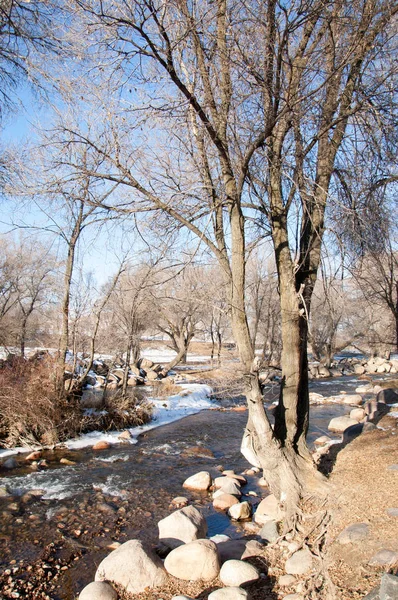 Streaming Water Small River Early Springtime Spring Scene Mountain Landscape — Stock Photo, Image