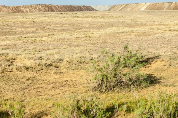 Hurda bakır bitki sıcak, sevecen güneş