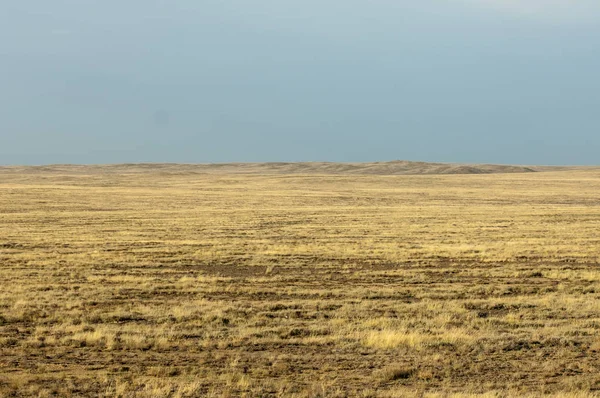 Steppe Absence Arbres Humidité Médiocre Surface Généralement Plane Avec Végétation — Photo