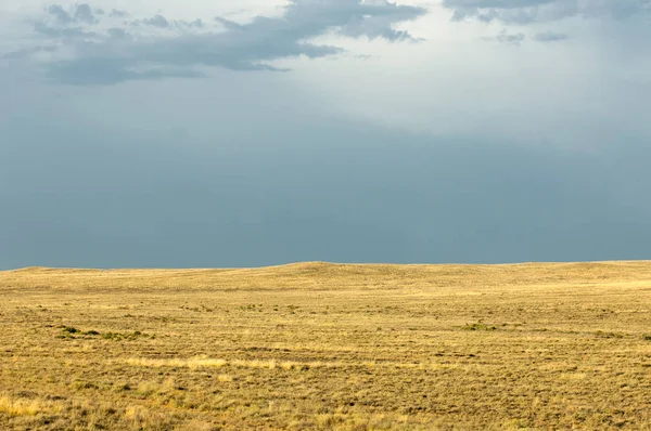 Steppe Absence Arbres Humidité Médiocre Surface Généralement Plane Avec Végétation — Photo