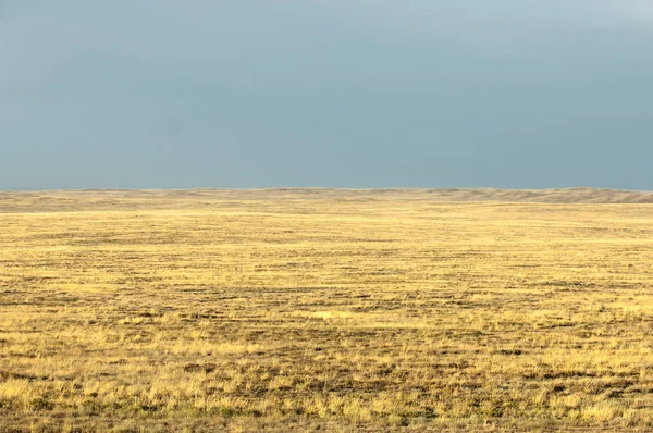 Bozkır. Ağaçsız, zavallı nem ve genellikle düz alan kuru bölgedeki otsu bitki örtüsü ile.