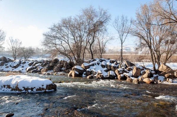 Hurda bakır bitki sıcak, sevecen güneş
