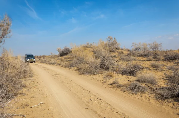 kum bahar bozkır. ağaçlar ve kum mavi gökyüzü arka plan üzerinde. Kazakistan bozkırlarında