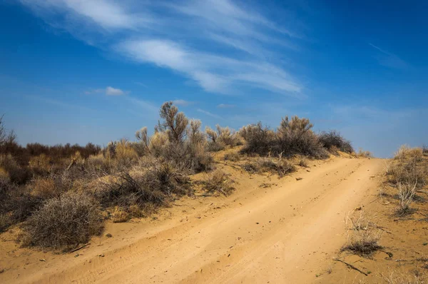 kum bahar bozkır. ağaçlar ve kum mavi gökyüzü arka plan üzerinde. Kazakistan bozkırlarında