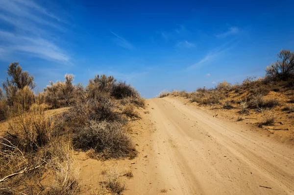 kum bahar bozkır. ağaçlar ve kum mavi gökyüzü arka plan üzerinde. Kazakistan bozkırlarında