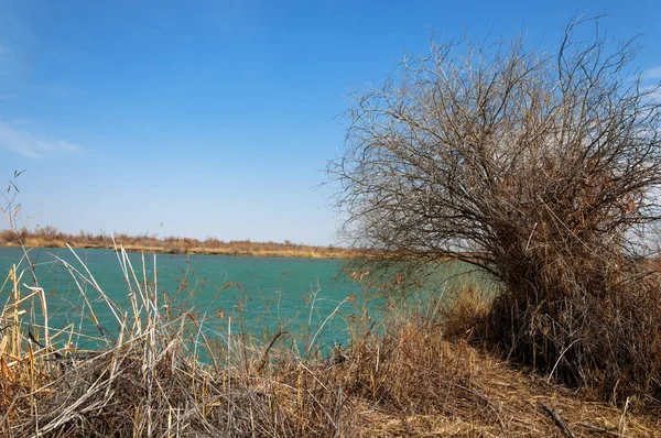 nehir bahar. bahar Nehri Orta Asya'da. Kazakistan bozkır nehir Semirechye. 
