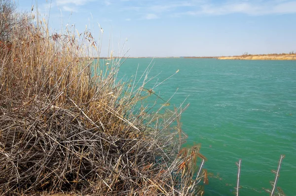 nehir bahar. bahar Nehri Orta Asya'da. Kazakistan bozkır nehir Semirechye. 