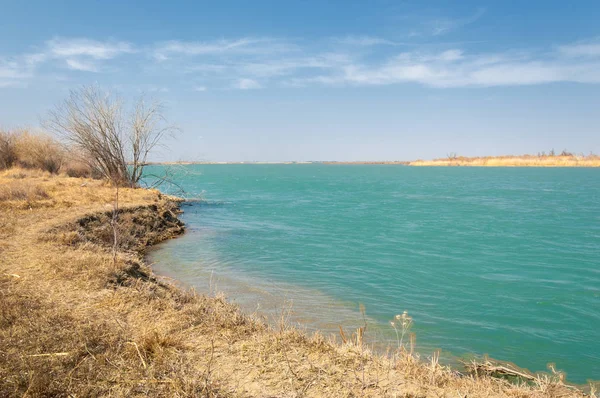 Manantial Río Primavera Asia Central Kazajstán Estepa Río Semirechye — Foto de Stock