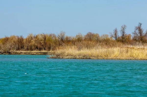 nehir bahar. bahar Nehri Orta Asya'da. Kazakistan bozkır nehir Semirechye. 