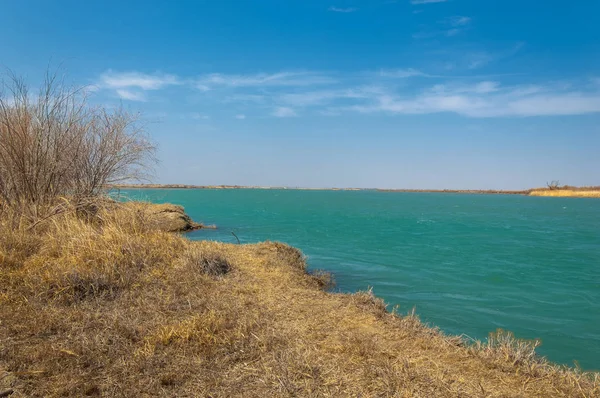 nehir bahar. bahar Nehri Orta Asya'da. Kazakistan bozkır nehir Semirechye. 