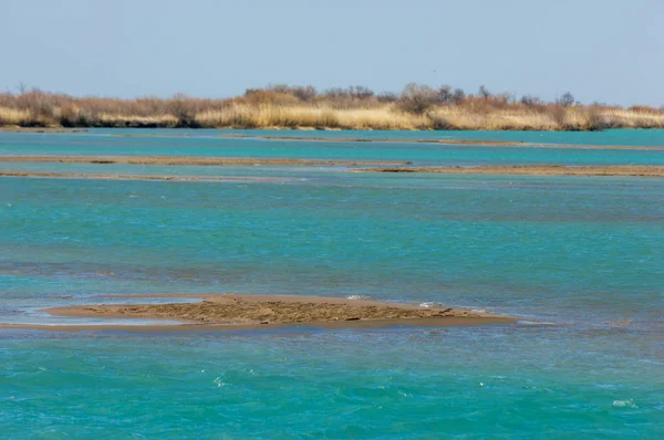 nehir bahar. bahar Nehri Orta Asya'da. Kazakistan bozkır nehir Semirechye. 