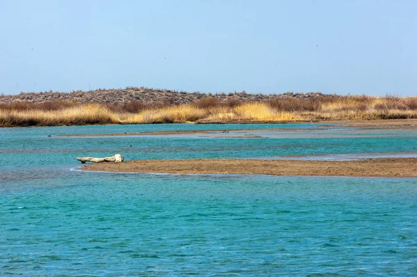 nehir bahar. bahar Nehri Orta Asya'da. Kazakistan bozkır nehir Semirechye. 