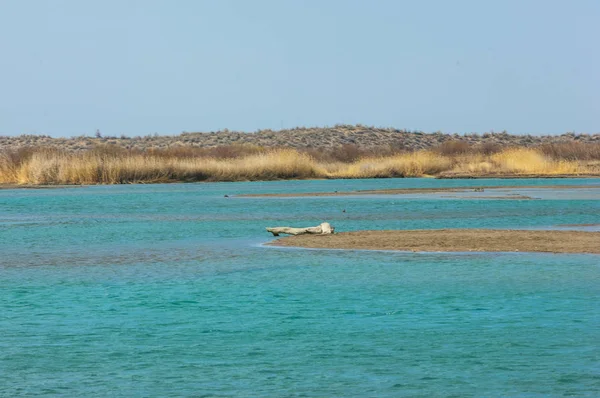nehir bahar. bahar Nehri Orta Asya'da. Kazakistan bozkır nehir Semirechye. 