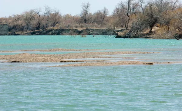 nehir bahar. bahar Nehri Orta Asya'da. Kazakistan bozkır nehir Semirechye. 