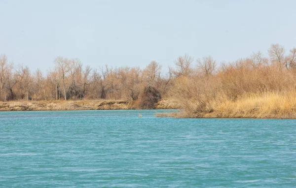 nehir bahar. bahar Nehri Orta Asya'da. Kazakistan bozkır nehir Semirechye. 