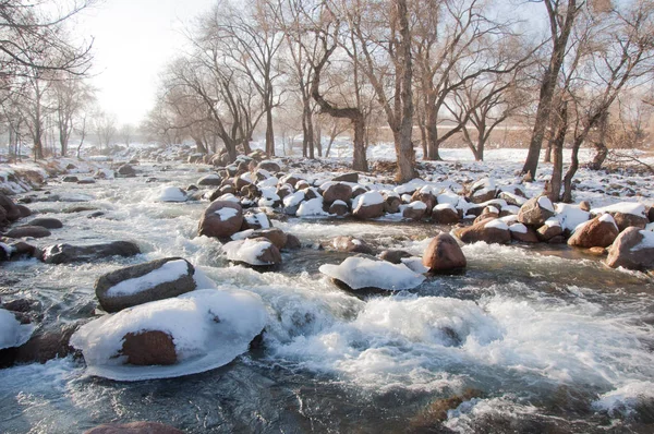 su küçük bir nehir erken ilkbahar akarsu. Bahar sahne. donmuş bir dere ile dağ manzarası