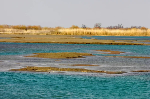 nehir bahar. bahar Nehri Orta Asya'da. Kazakistan bozkır nehir Semirechye. 