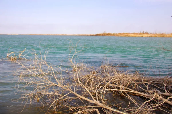 nehir bahar. bahar Nehri Orta Asya'da. Kazakistan bozkır nehir Semirechye. 