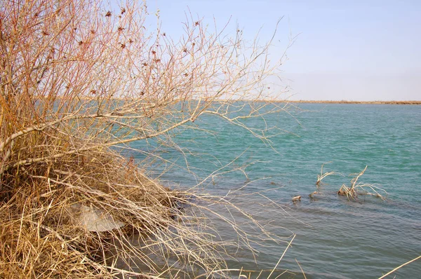 nehir bahar. bahar Nehri Orta Asya'da. Kazakistan bozkır nehir Semirechye. 