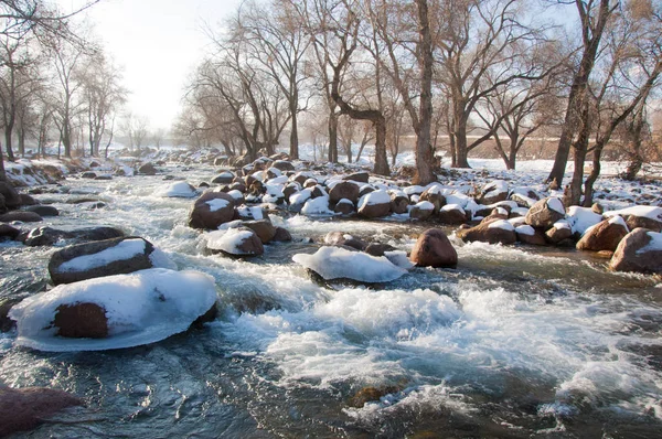 su küçük bir nehir erken ilkbahar akarsu. Bahar sahne. donmuş bir dere ile dağ manzarası