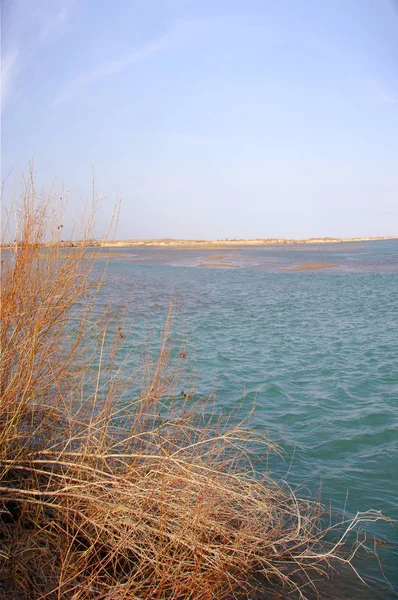 nehir bahar. bahar Nehri Orta Asya'da. Kazakistan bozkır nehir Semirechye. 