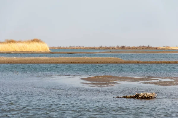 nehir bahar. bahar Nehri Orta Asya'da. Kazakistan bozkır nehir Semirechye. 