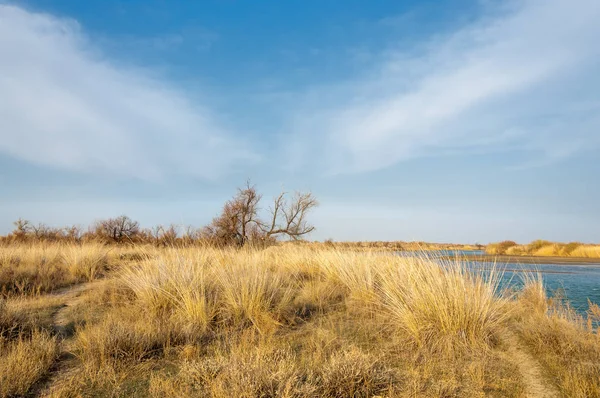 nehir bahar. bahar Nehri Orta Asya'da. Kazakistan bozkır nehir Semirechye. 