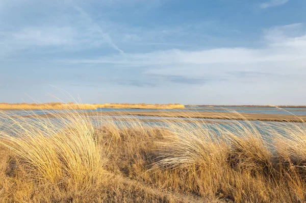nehir bahar. bahar Nehri Orta Asya'da. Kazakistan bozkır nehir Semirechye. 
