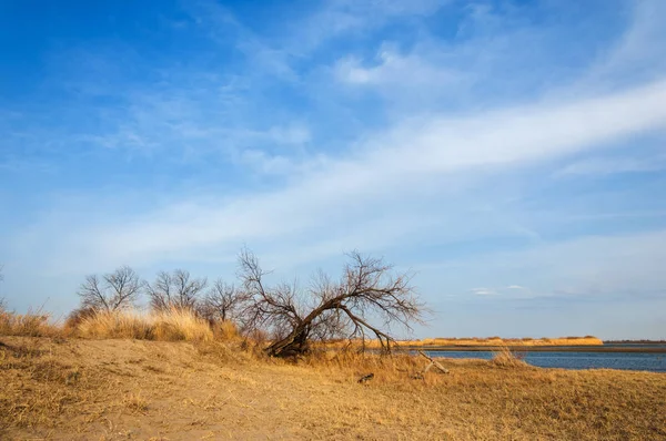 nehir bahar. bahar Nehri Orta Asya'da. Kazakistan bozkır nehir Semirechye. 