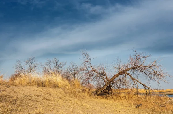 nehir bahar. bahar Nehri Orta Asya'da. Kazakistan bozkır nehir Semirechye. 