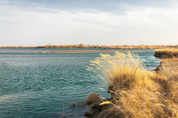 nehir bahar. bahar Nehri Orta Asya'da. Kazakistan bozkır nehir Semirechye. 