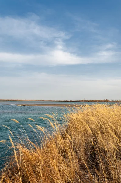nehir bahar. bahar Nehri Orta Asya'da. Kazakistan bozkır nehir Semirechye. 