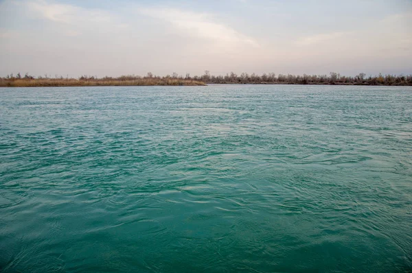 Manantial Río Primavera Asia Central Kazajstán Estepa Río Semirechye — Foto de Stock