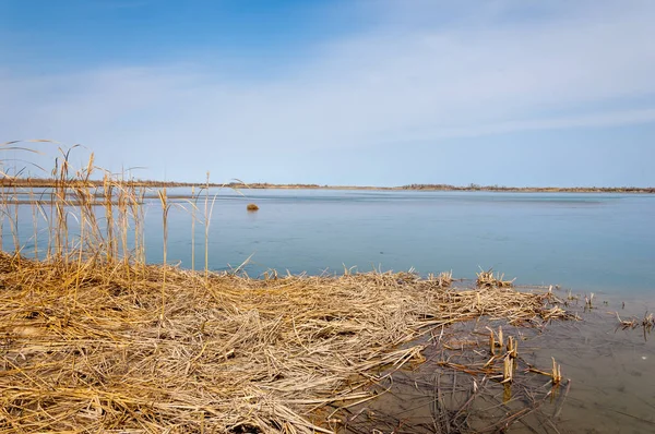 Manantial Río Primavera Asia Central Kazajstán Estepa Río Semirechye — Foto de Stock