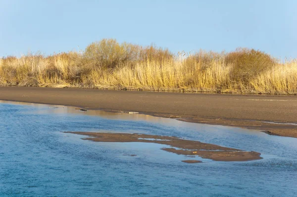 Fluss Der Frühlingssteppe Flussufer Mit Schilf Bewachsen Wasser Ist Reiner — Stockfoto