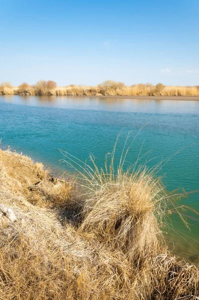 bahar bozkır nehirde. nehir sazlık ile büyümüş. saf zümrüt sudur