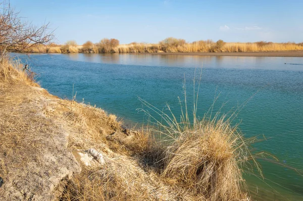 bahar bozkır nehirde. nehir sazlık ile büyümüş. saf zümrüt sudur