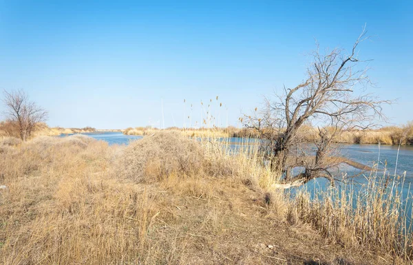 bahar bozkır nehirde. nehir sazlık ile büyümüş. saf zümrüt sudur