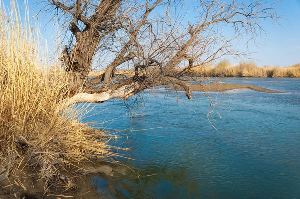 bahar bozkır nehirde. nehir sazlık ile büyümüş. saf zümrüt sudur