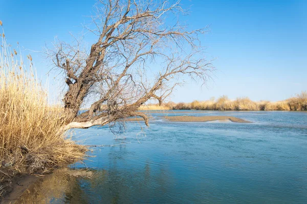bahar bozkır nehirde. nehir sazlık ile büyümüş. saf zümrüt sudur