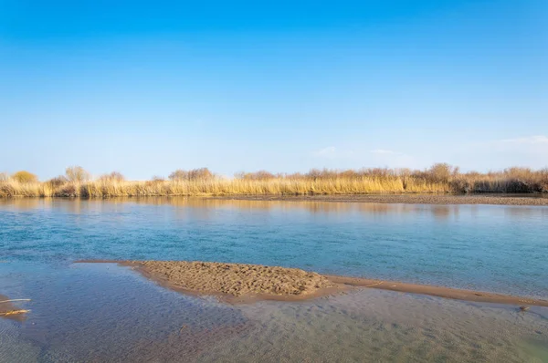 bahar bozkır nehirde. nehir sazlık ile büyümüş. saf zümrüt sudur